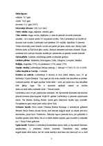 Referāts 'Lielbritānija', 3.