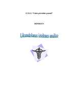 Referāts 'Likumdošanas ietekmes analīze', 1.