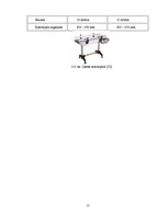 Referāts 'Maizes iepakošana - materiāli, tehnoloģijas', 15.