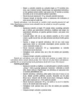 Referāts 'Maizes iepakošana - materiāli, tehnoloģijas', 30.