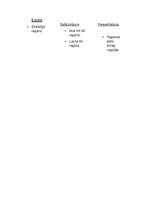 Eseja 'Latviešu mitoloģiskā būtne. Ragana', 4.