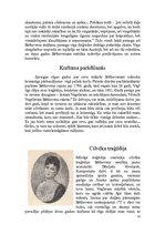 Referāts 'Ludvigs van Bēthovens', 11.