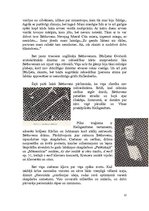 Referāts 'Ludvigs van Bēthovens', 12.