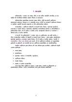 Referāts 'Inventarizācija', 2.