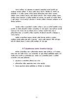 Referāts 'Inventarizācija', 13.