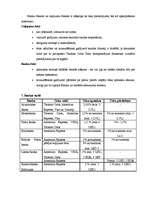 Referāts 'Ceļojuma čeki', 3.