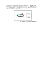 Biznesa plāns 'SIA "Anita"', 7.