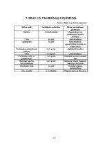 Biznesa plāns 'SIA "Anita"', 13.