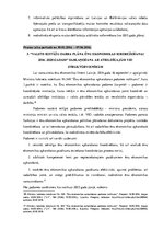 Prakses atskaite 'Mācību prakse Latvijas Republikas Valsts ieņēmumu dienestā, stratēģiskās vadības', 13.