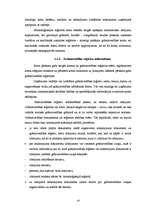 Diplomdarbs 'Grāmatvedības darba organizācija komercuzņēmumā', 9.