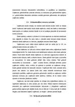 Diplomdarbs 'Grāmatvedības darba organizācija komercuzņēmumā', 13.