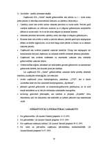 Diplomdarbs 'Grāmatvedības darba organizācija komercuzņēmumā', 38.