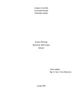 Referāts 'Kultūras definīcijas', 1.