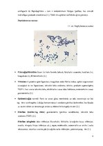 Konspekts 'Patogēnie koki', 4.