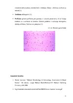 Konspekts 'Patogēnie koki', 11.