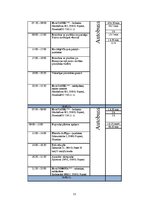 Biznesa plāns 'Ceļojuma "Pasaule ceļasomā" vērtības aprēķināšana', 11.