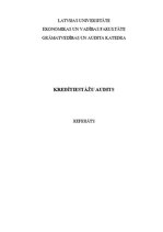 Referāts 'Kredītiestāžu audits', 1.