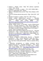 Referāts 'Akcīzes preču noliktavas darbības raksturojums', 19.