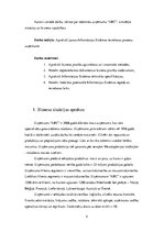 Biznesa plāns 'Biznesa prasību apzināšana IS izstrādei', 4.