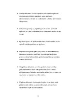 Biznesa plāns 'Biznesa prasību apzināšana IS izstrādei', 11.