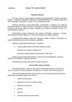 Konspekts 'Grāmatvedība, darba alga', 1.