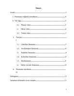 Referāts 'Feminisma teorijas, posmi', 1.