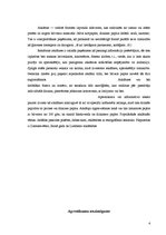 Referāts 'Apsveikumi', 4.