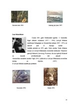 Referāts 'Apsveikumi', 16.