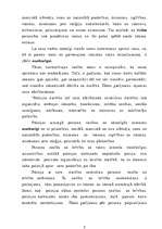 Referāts 'Kārtības policijas tiesu kārtībnieku darba organizācija drošības un kārtības nod', 5.