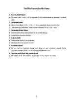 Referāts 'Sporta un rotaļu ierīces, to konstrukcijas un uzstādīšana', 6.