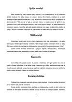 Referāts 'Sporta un rotaļu ierīces, to konstrukcijas un uzstādīšana', 8.