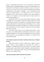 Diplomdarbs 'Preses relīze kā informācijas sniegšanas forma. Sabiedrisko attiecību speciālist', 80.