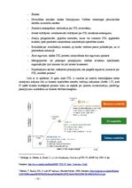 Diplomdarbs 'IT pakalpojumu vadība un tās loma uzņēmumu darbībā', 16.