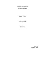 Referāts 'Garšvielas', 1.