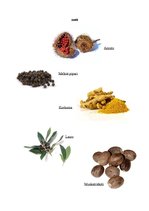 Referāts 'Garšvielas', 7.