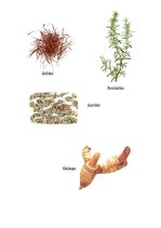 Referāts 'Garšvielas', 8.