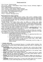 Konspekts 'Pirmais pasaules karš', 1.