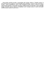 Konspekts 'Pirmais pasaules karš', 4.