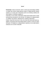 Referāts 'Diskriminācija: cēloņi, sekas, prevencija', 3.