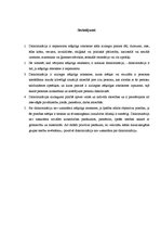 Referāts 'Diskriminācija: cēloņi, sekas, prevencija', 14.