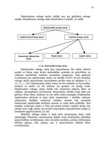 Diplomdarbs 'Pakalpojuma uzņēmuma darbības efektivitātes paaugstināšana', 29.