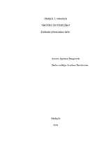 Referāts 'Datora ietekme uz veselību', 1.