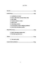 Referāts 'Datora ietekme uz veselību', 2.