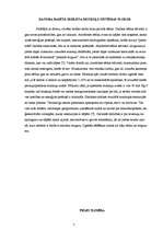 Referāts 'Datora ietekme uz veselību', 5.