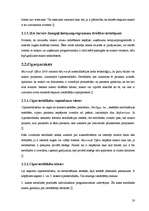 Diplomdarbs 'Visual Basic izmantošana lietotāju darba uzlabošanai SIA "Serviss Zemgaļi"', 20.