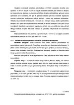 Referāts 'Apdrošināšanas mārketings, tā īpatnības', 16.