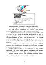 Referāts 'Apdrošināšanas mārketings, tā īpatnības', 20.