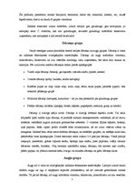 Referāts 'Pilnvērtīgas pārtikas sastāvs. Pārtikas piramīda', 5.