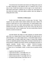 Referāts 'Pilnvērtīgas pārtikas sastāvs. Pārtikas piramīda', 8.