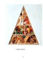 Referāts 'Pilnvērtīgas pārtikas sastāvs. Pārtikas piramīda', 13.